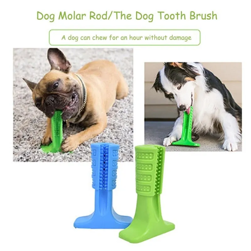 Dental Care Easy-hold Platform Brush
